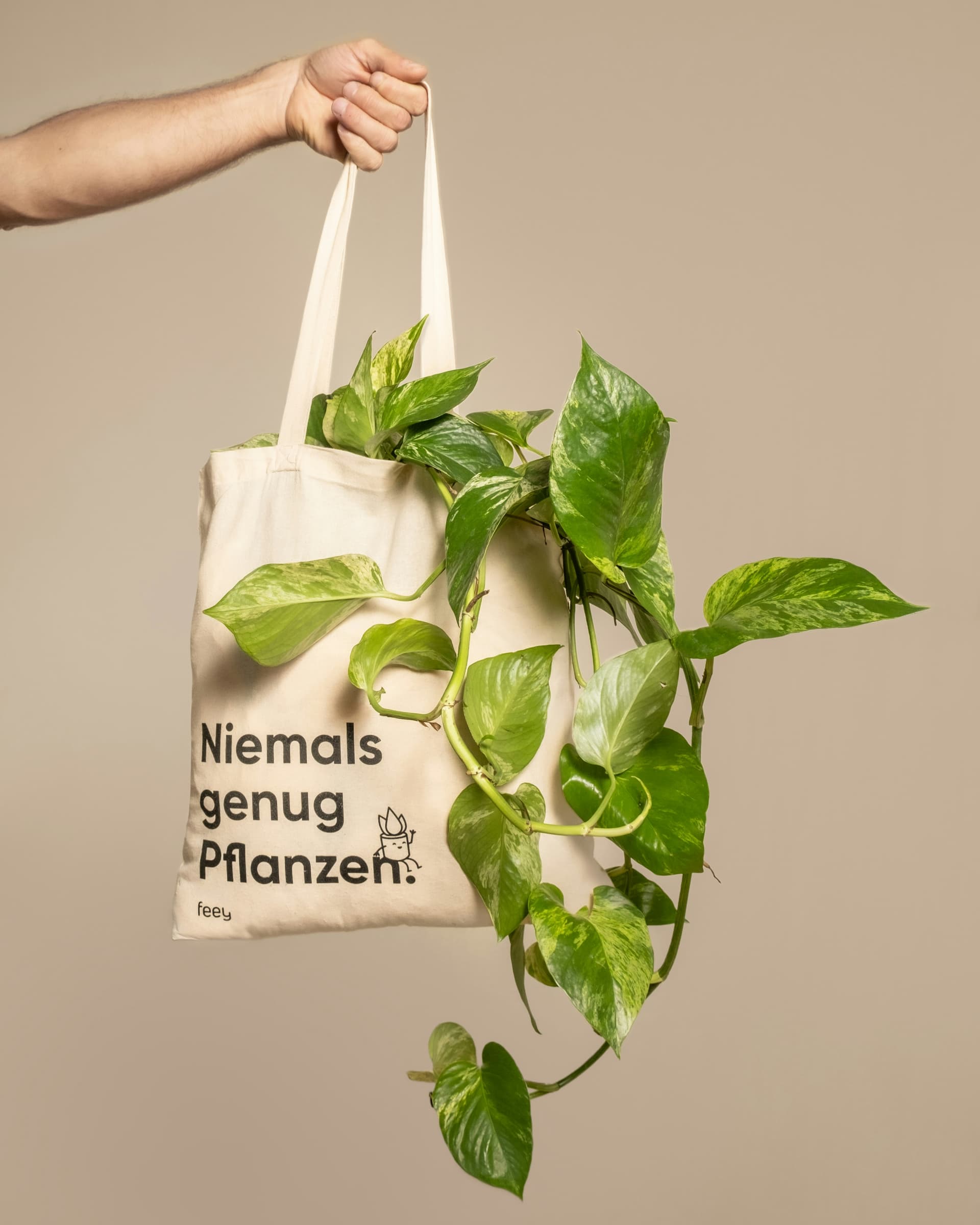 Botanical Branding